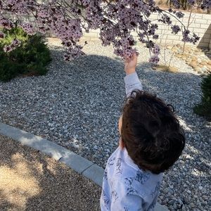 Meet your Posher, Carmen